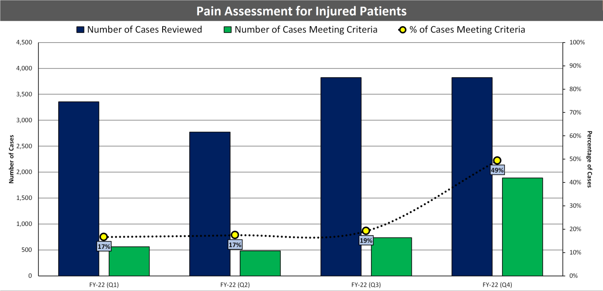 (07) Injured Patient Pain Assessment (FY22).png